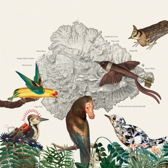 Friendly Rich: The Birds Of Marsville - Vinyl