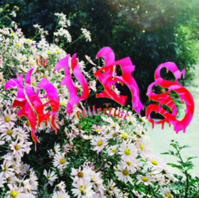 Hirs Collective: Were Still Here (White Vinyl) (+Obi) (Indie Exclusive) - Vinyl