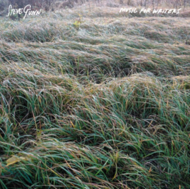 Steve Gunn: Music For Writers - Vinyl