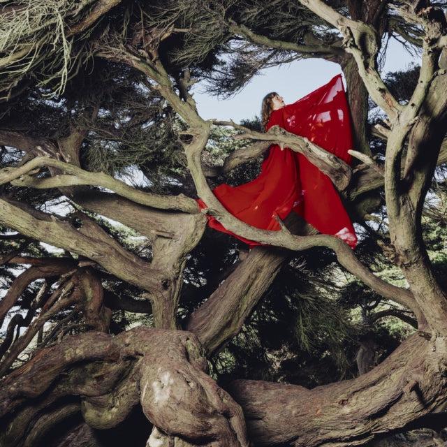 Hannah Frances: Nested In Tangles (Ruby Red Vinyl) - Vinyl