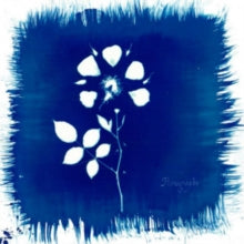 Painted Zeros: Floriography - CD