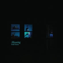Field Mouse: Meaning - Vinyl