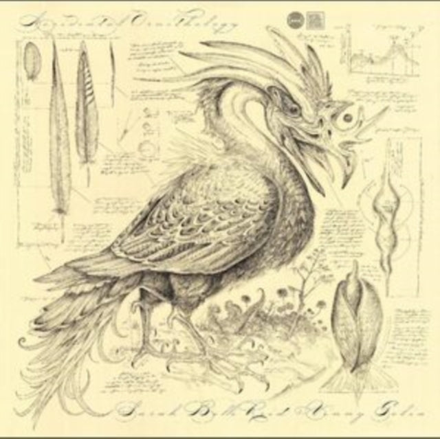 Sarah Belle Reid & Vinny Golia: Accidental Ornithology - CD