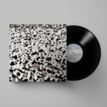 Stella Donnelly: Flood - Vinyl
