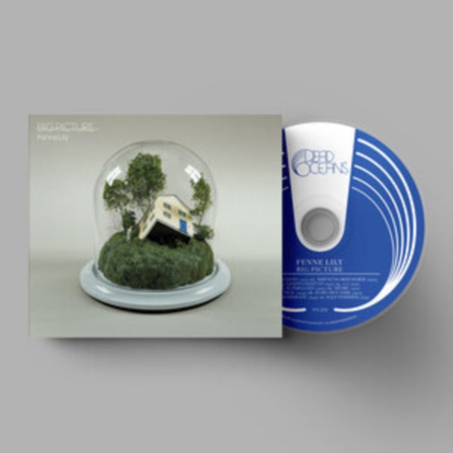 Fenne Lily: Big Picture - CD