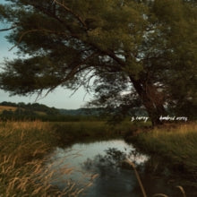 S. Carey: Hundred Acres - CD