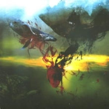 A Storm Of Light: And We Wept The Black Ocean Within - CD