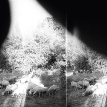 Godspeed You! Black Emperor: Asunder  Sweet And Other Distress - Vinyl