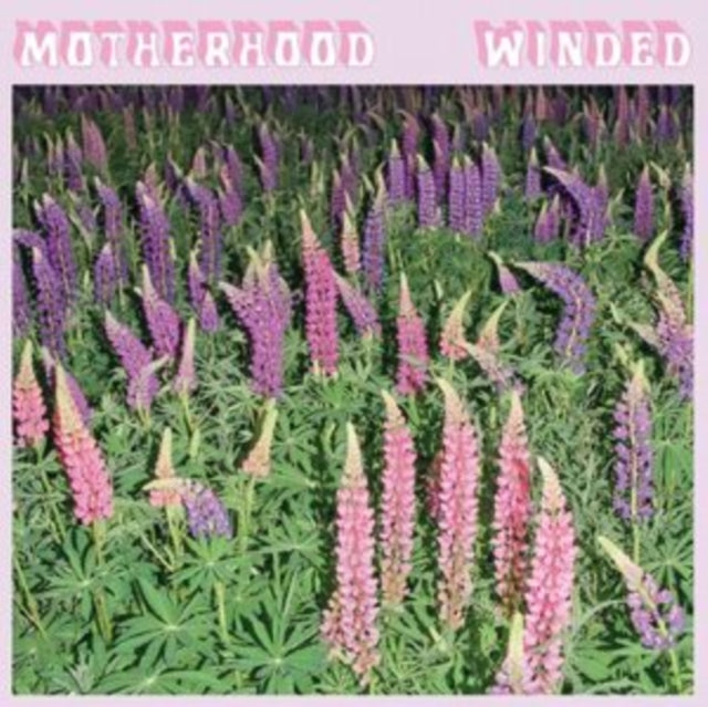 Motherhood: Winded (Opaque Purple Vinyl) - Vinyl