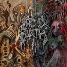 Acid Birth: Pleasures Of Flesh / The Divine Grotesque - CD