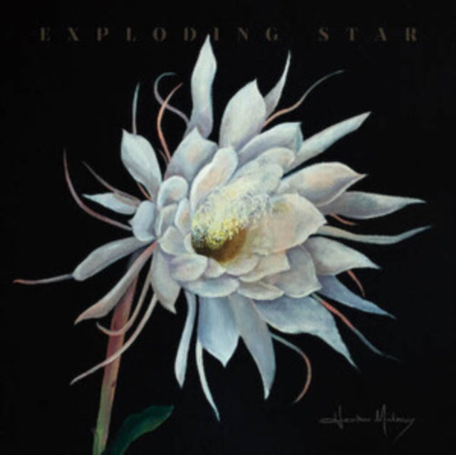 Heather Maloney: Exploding Star - Vinyl