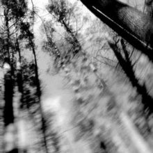 Loess: Totems - Vinyl