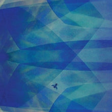 Cyro Baptista: Bluefly - CD