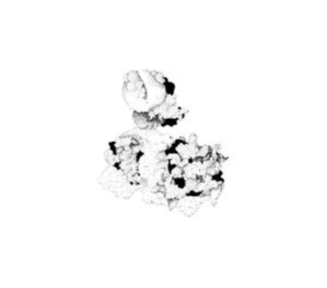 Anna Webber and Matt Mitchell: Capacious Aeration - CD
