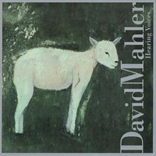 David Mahler: Hearing Voices - CD