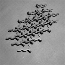 Z's: Xe - CD