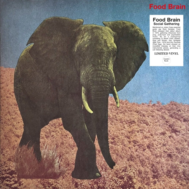 Food Brain: Social Gathering - Vinyl