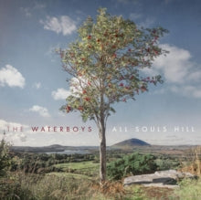 The Waterboys: All Souls Hill - Vinyl