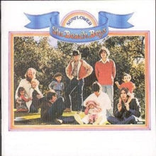 Beach Boys: Sunflower / SurfS Up - CD