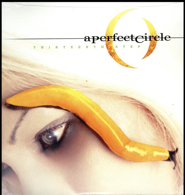 A Perfect Circle: Thirteenth Step - Vinyl