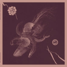 Aaron Turner & Jon Mueller: Now That Youve Found It - Vinyl
