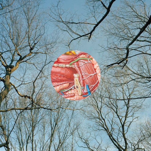 They Might Be Giants: Glean (Clear Vinyl With Red Wisps) - Vinyl