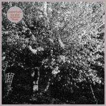 Papercuts: Parallel Universe Blues - CD
