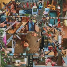 Lou Barlow: Reason To Live - CD