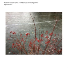 Norbert Rodenkirchen/Robbie Lee/James Ilgenfritz: Opalescence - CD
