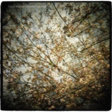 Horse Feathers: Thistled Spring - CD