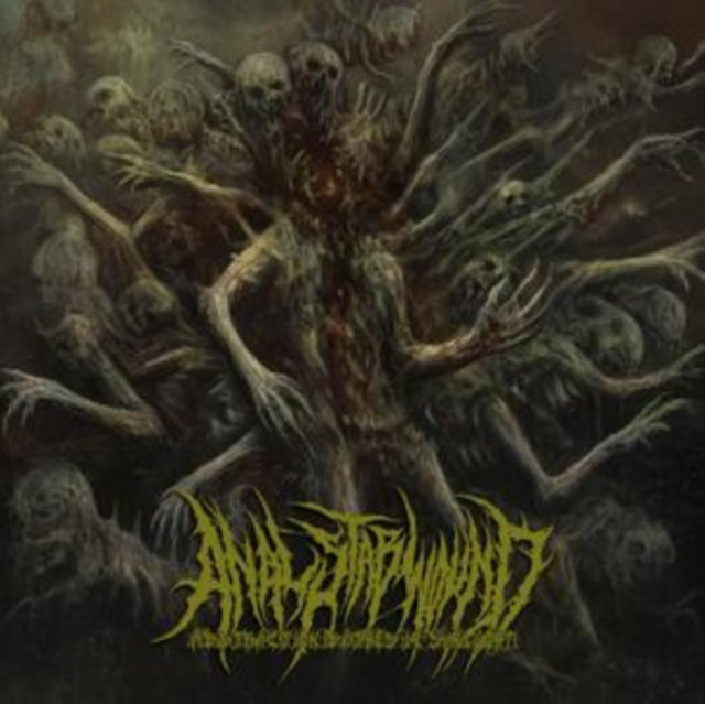 Anal Stabwound: Abstraction Bathes In Sunlight - CD
