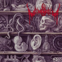 In Memorium: Lost To Antiquity - CD