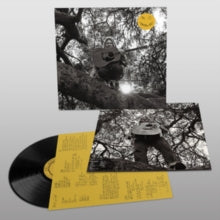 Ty Segall: Hello. Hi - Vinyl