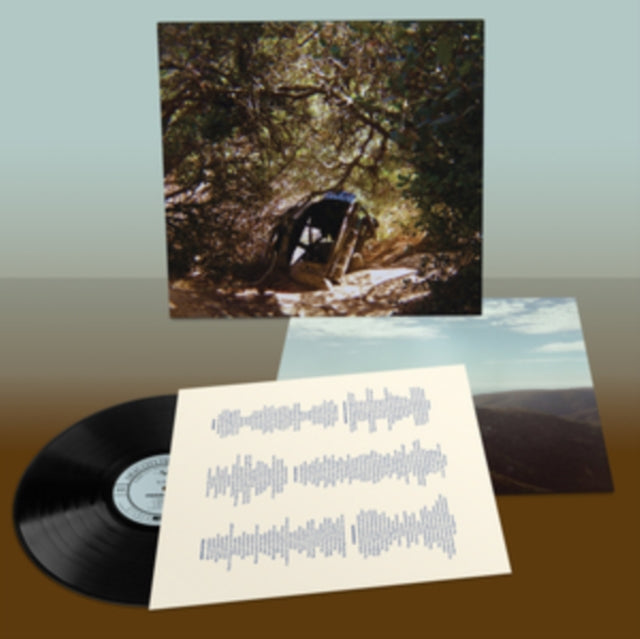 Ty Segall: Possession - Vinyl