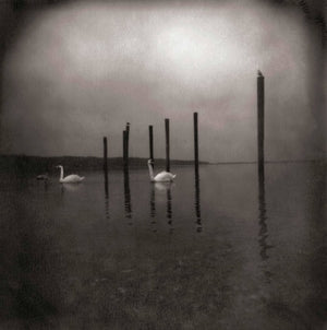 Om: Conference Of The Birds - Vinyl