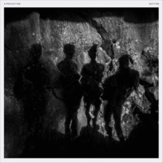 A Projection: Section - Vinyl