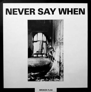 Various Artists: Never Say When - Vinyl