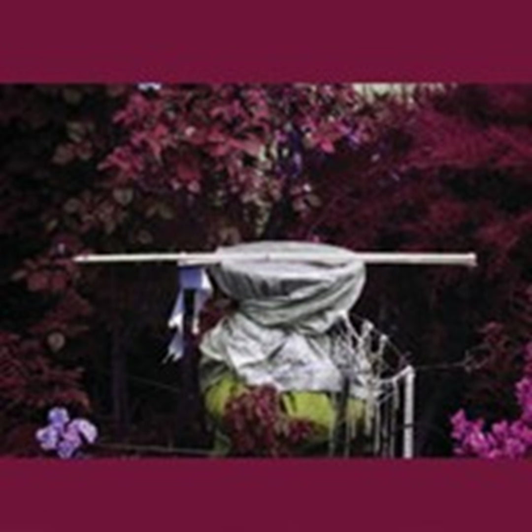 Ava Mendoza: Alive Alone Alive Together - CD