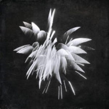 Brent Windler: New Morning Howl - Vinyl