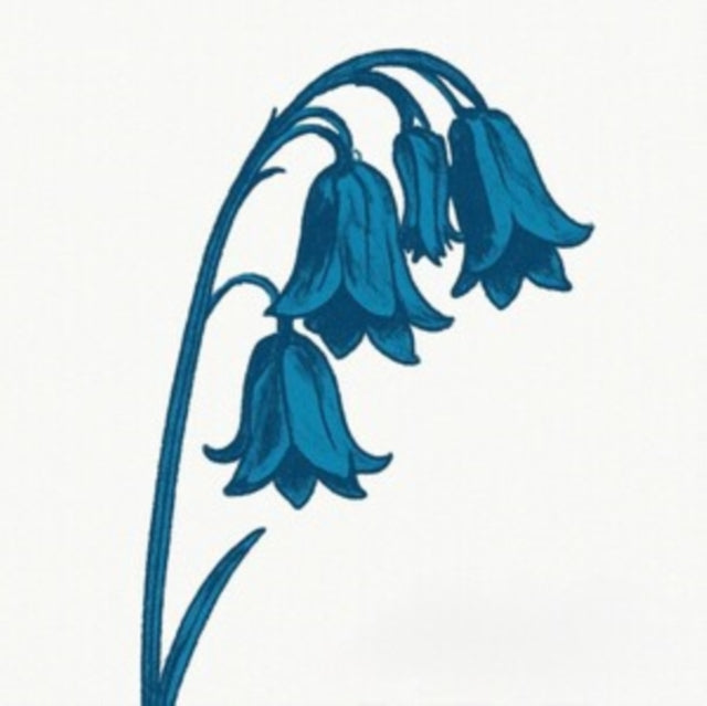 The Bluebells: This Is The Bluebells (Glade Green Vinyl) - Vinyl