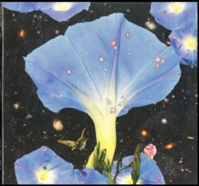 Sarah Louise: Nighttime Birds And Morning Stars - Vinyl