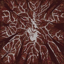 Trash Boat: Crown Shyness - CD