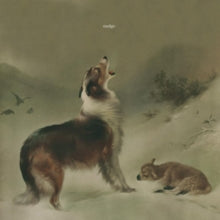 Nudge: As Good As Gone - CD