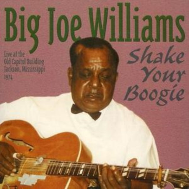 Big Joe Williams: Shake Your Boogie - CD