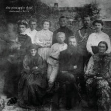 The Pineapple Thief: Abducted At Birth - CD