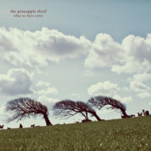 The Pineapple Thief: What We Have Sown - Vinyl