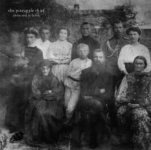The Pineapple Thief: Abducted At Birth - Vinyl