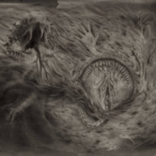 Nidsang: Into The Womb Of Dissolving Flames - Vinyl