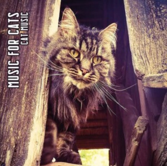 Music for Cats: Cat Music (Limited Edition) (Digi) - CD