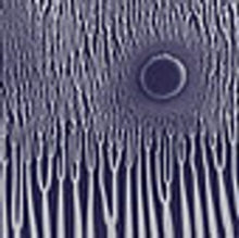 Sunn O))): Grimm Robe Demos - CD